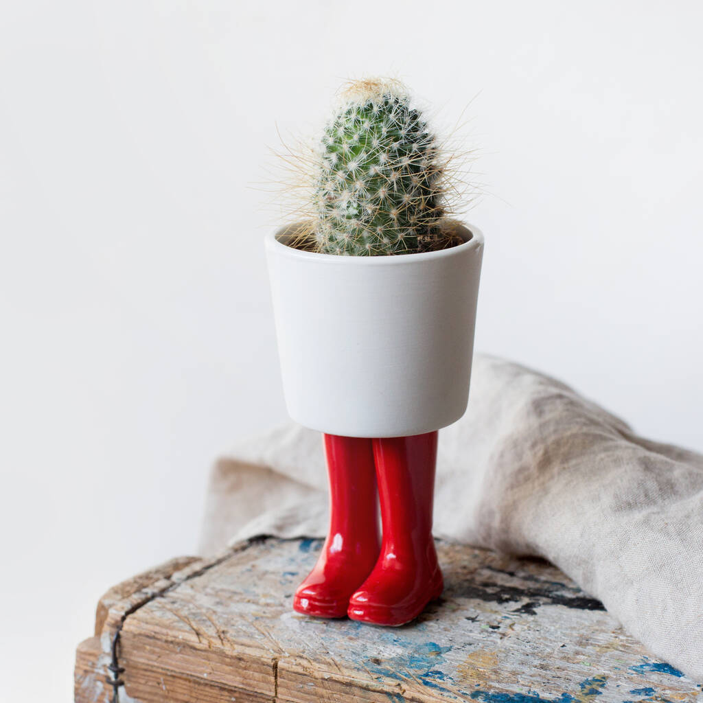 Wellington Boot Plant Pot By Home & Glory