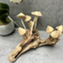 20cm Hand Carved Wooden Mushroom Figurine Coffee Root Wood, thumbnail 9 of 12