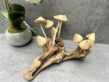 20cm Hand Carved Wooden Mushroom Figurine Coffee Root Wood, 9 of 12