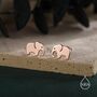 Sterling Silver Elephant Stud Earrings, thumbnail 7 of 12