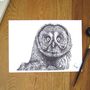 Great Grey Owl Pen And Ink Illustration Framed Print, thumbnail 2 of 3