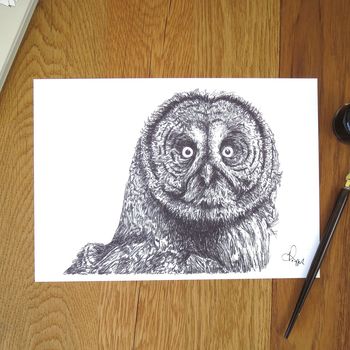 Great Grey Owl Pen And Ink Illustration Framed Print, 2 of 3