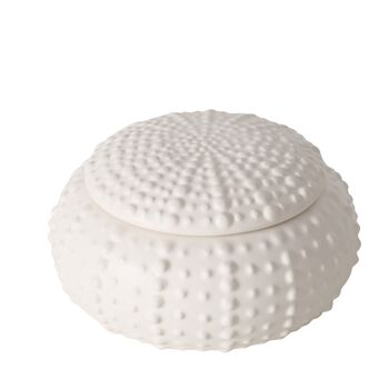 Sea Urchin Small Trinket Dish, 4 of 4