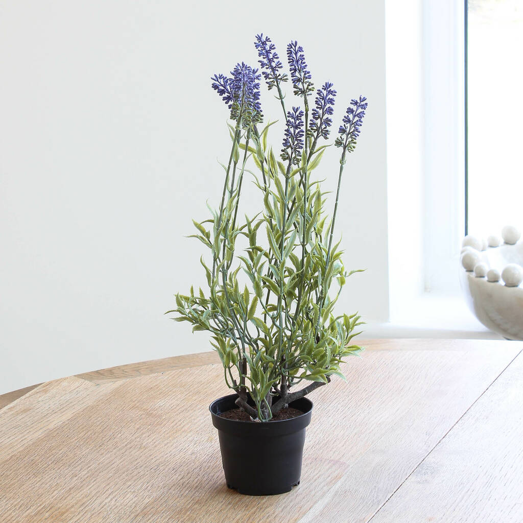 artificial lavender plant by marquis & dawe