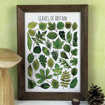 Leaves Of Britain Illustrated Postcard, 9 of 9