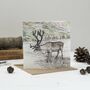 'Christmas North To South' Mixed Pack Of Ten Cards, thumbnail 3 of 10