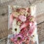 Flower Craft Pack Pink Ombre Dried Flowers, thumbnail 1 of 2