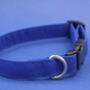 Bright Blue Dog Collar, thumbnail 8 of 12