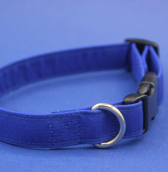 Bright Blue Dog Collar, 8 of 12