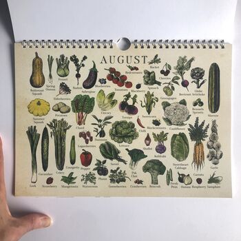 UK Seasonal Calendar, Dateless Fruit And Veg Calendar, 5 of 8