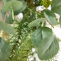 Botanical Beauty Deluxe Eucalyptus Wreath, thumbnail 5 of 6