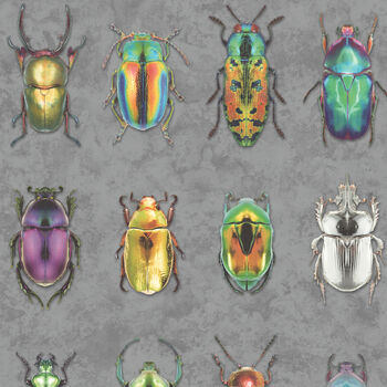 Beetle Jewels Multi Wallpaper, 5 of 6