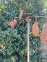128cm Robin Wind Spinner Metal Garden Statue Memorial Gift, thumbnail 1 of 8