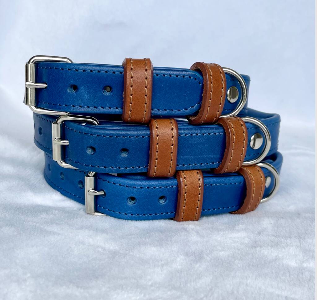 Blue Rolled Leather Dog Collar By Pugalier Of London