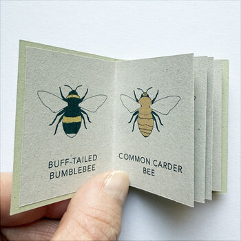 Tiny Book Of Bees Handmade Mini Nature Book, 4 of 6