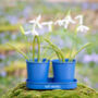 Personalised Metal Blue Double Planter, thumbnail 2 of 6