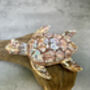 Double Painted Turtle Figurine Ornament – Root Sculpture, thumbnail 10 of 12