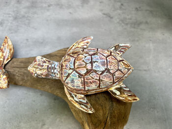 Double Painted Turtle Figurine Ornament – Root Sculpture, 10 of 12