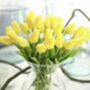 Artificial Tulips, thumbnail 6 of 8