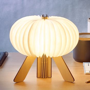 The Maple R Space Lamp, 3 of 8