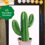 Cactus Painting By Numbers Kit, thumbnail 2 of 5