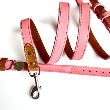 Pink Collar And Lead Set, 3 of 5