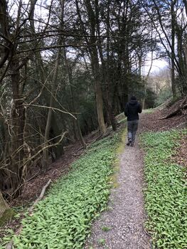 The Hampshire Hangers: A Circular Walk In Hampshire From Petersfield Station, 7 of 9