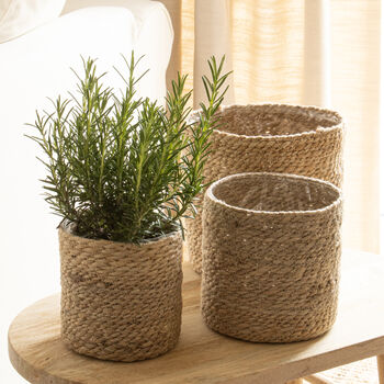 Pale Jute Plant Pot, 4 of 4