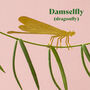 Plant Animal Houseplant Decorations, thumbnail 7 of 9