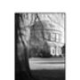 Tree, Ickworth House, Horringer Photographic Art Print, thumbnail 3 of 4