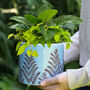 Leaf Patterned Blue Ceramic Plant Pot, thumbnail 3 of 9