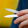Personalised Silver Collar Stiffeners, thumbnail 1 of 8