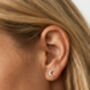 Gold Or Silver Crescent Moon Stud Earrings, thumbnail 1 of 6
