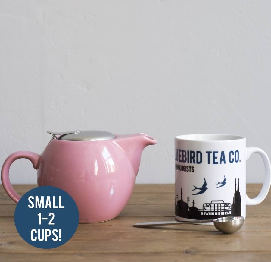 Large Loose Leaf Teapot + Free Tea By Bird & Blend Tea Co