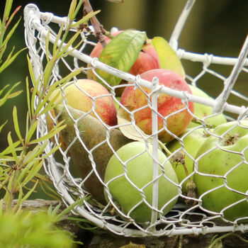 Personalised Garden Harvest Trug Basket, 5 of 6