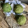 Dried Moss Spheres || Balls, thumbnail 8 of 9