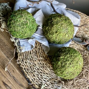 Dried Moss Spheres || Balls, 8 of 9