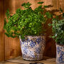 Milburn Blue Floral Plant Pots, thumbnail 2 of 5