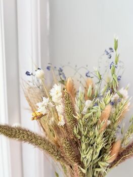 Dried Flower Bouquet With Oats, Grasses And Paper Daisies, 2 of 5