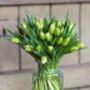 Fresh Cream Tulips Bouquet, thumbnail 3 of 3