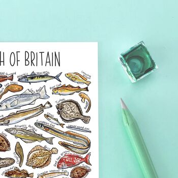 Sea Fish Of Britain Watercolour Postcard, 9 of 9