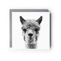 Fun Hand Drawn Llama Greeting Card Illustration, thumbnail 2 of 6