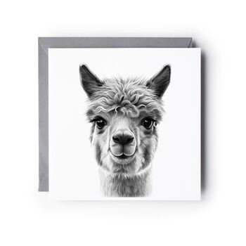 Fun Hand Drawn Llama Greeting Card Illustration, 2 of 6