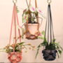 Leather Plant Hanger, thumbnail 1 of 6