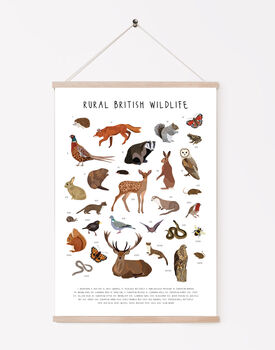 Rural British Wildlife Print, 3 of 4