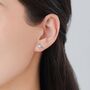 Tiny Pigeon Bird Stud Earrings, thumbnail 6 of 11