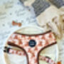 Vintage Bears Gingham Dog Harness With Optional Set, thumbnail 4 of 9