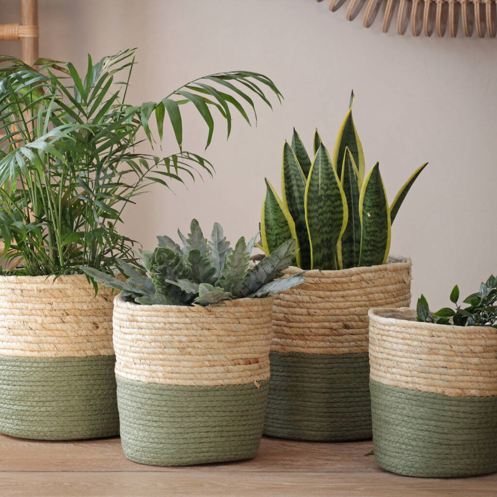 Seagrass Baskets Natural And Green, 1 of 2