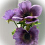 Faux Flowers Stems Anemone, thumbnail 4 of 4