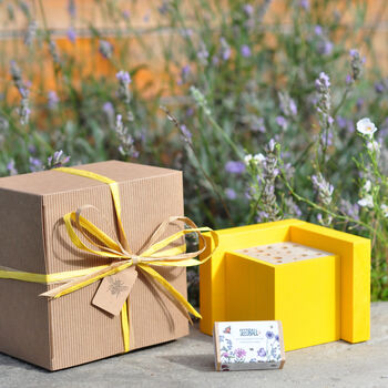 Mini Bee House Garden Gift Set, 3 of 7